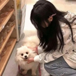 玛法英雄之怒血神屠官方版下载