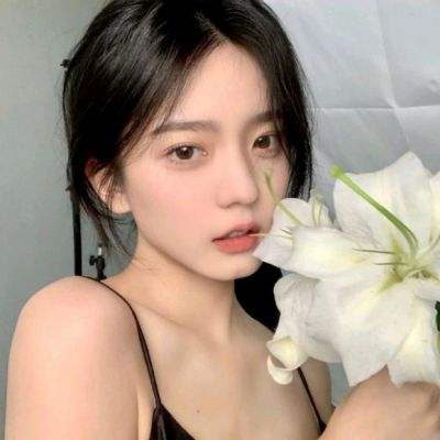开局一群狗手游